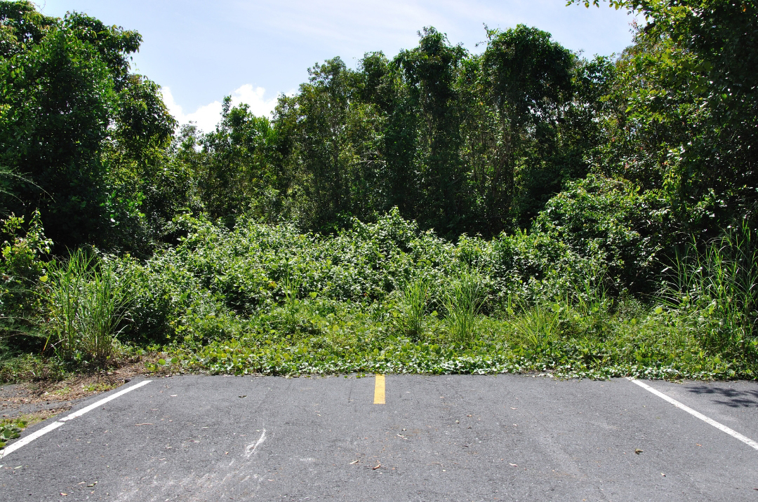 Diseño sin título – 4